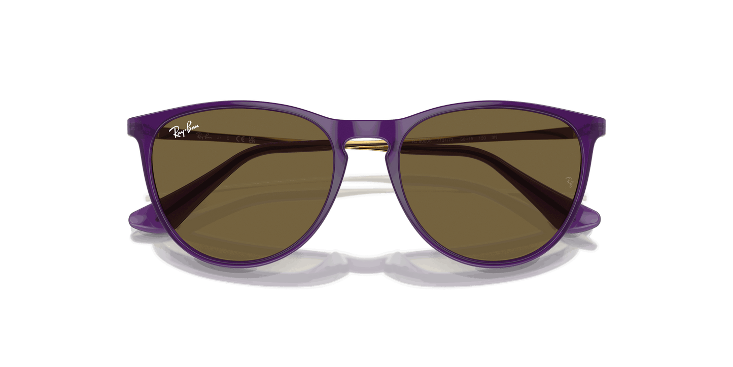 [Dark Brown Lenses, Polished Opal Violet Frame]