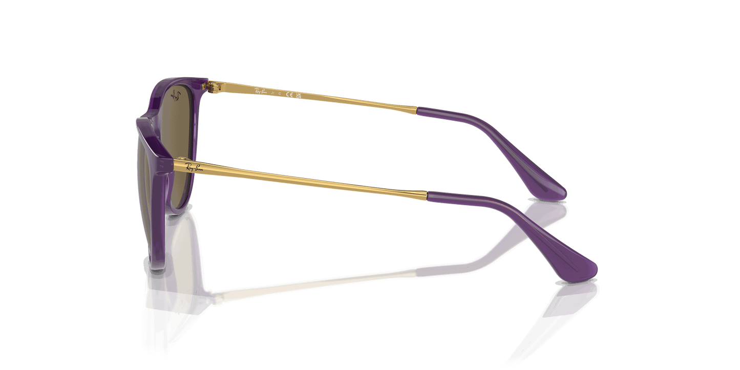 [Dark Brown Lenses, Polished Opal Violet Frame]