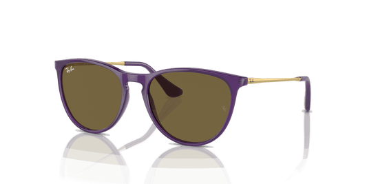 [Dark Brown Lenses, Polished Opal Violet Frame]