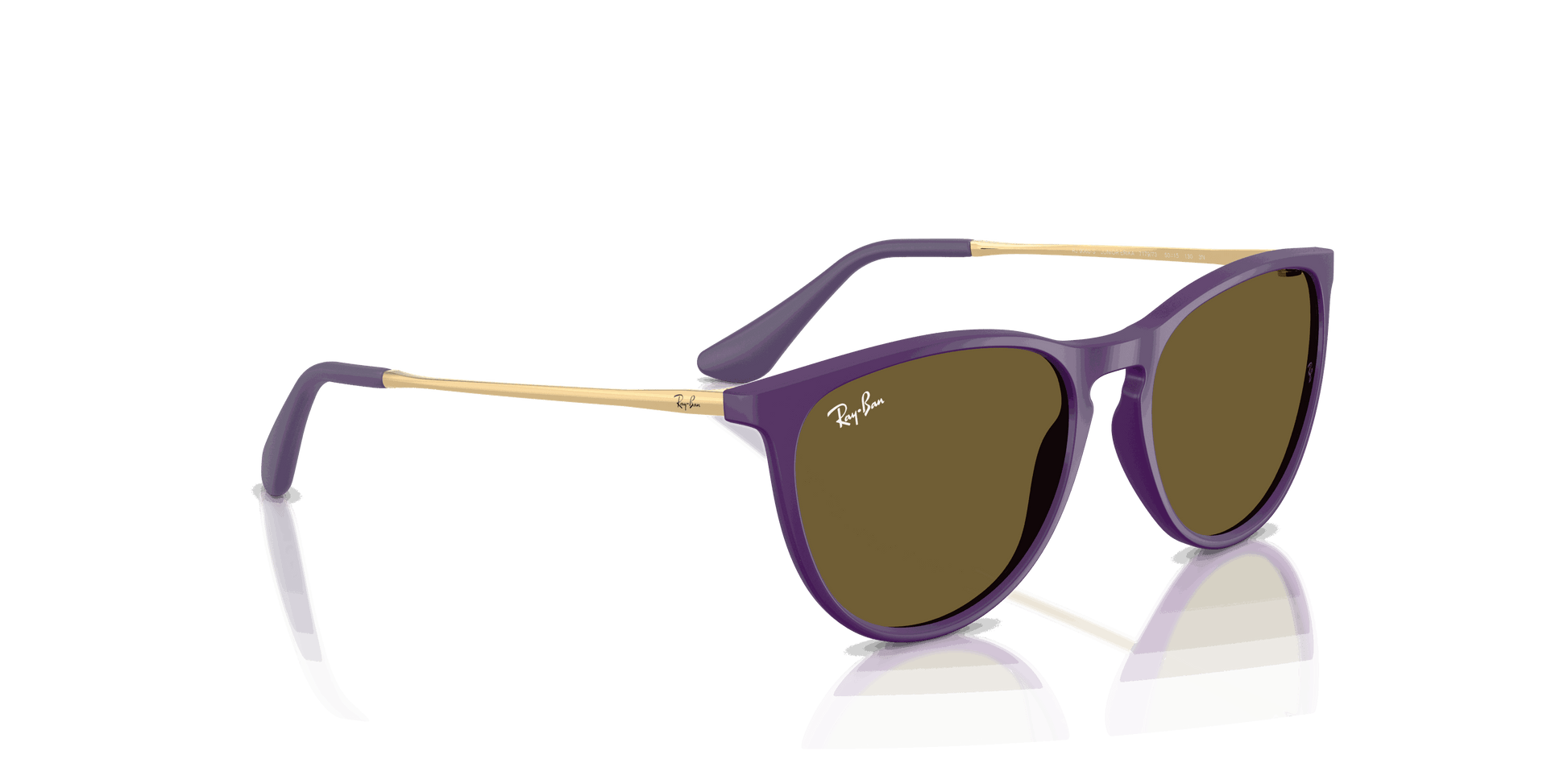 [Dark Brown Lenses, Polished Rubber Violet Frame]