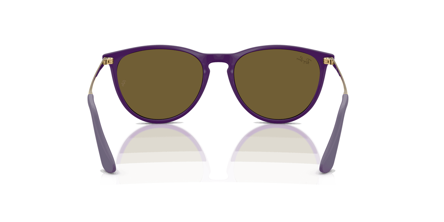 [Dark Brown Lenses, Polished Rubber Violet Frame]