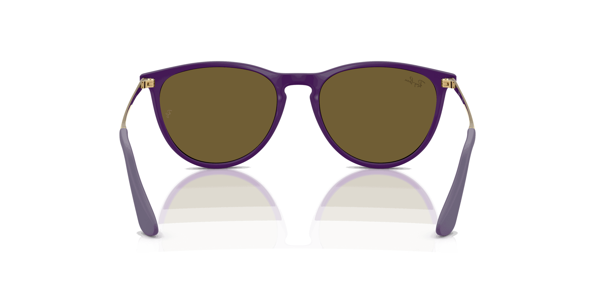 [Dark Brown Lenses, Polished Rubber Violet Frame]