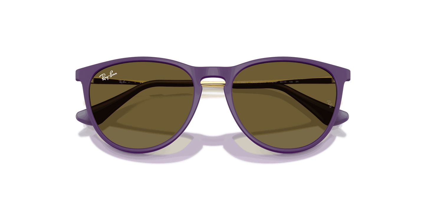 [Dark Brown Lenses, Polished Rubber Violet Frame]