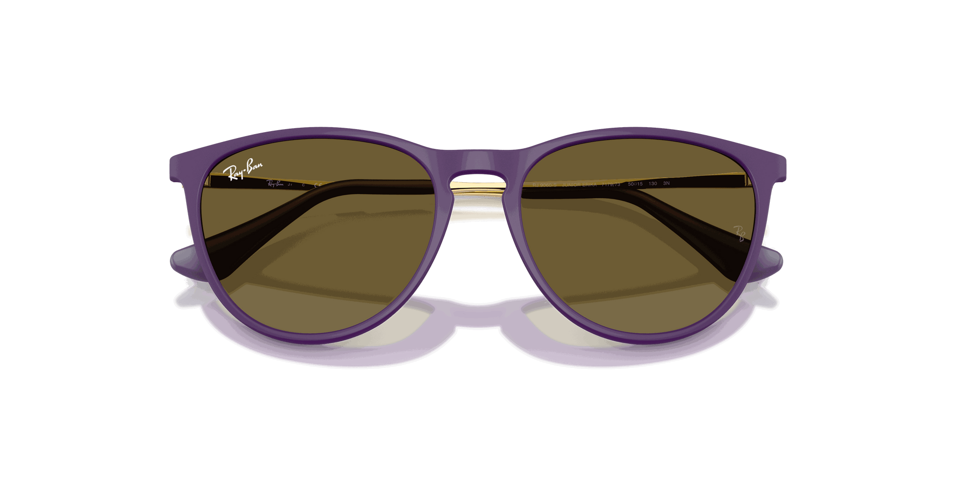 [Dark Brown Lenses, Polished Rubber Violet Frame]