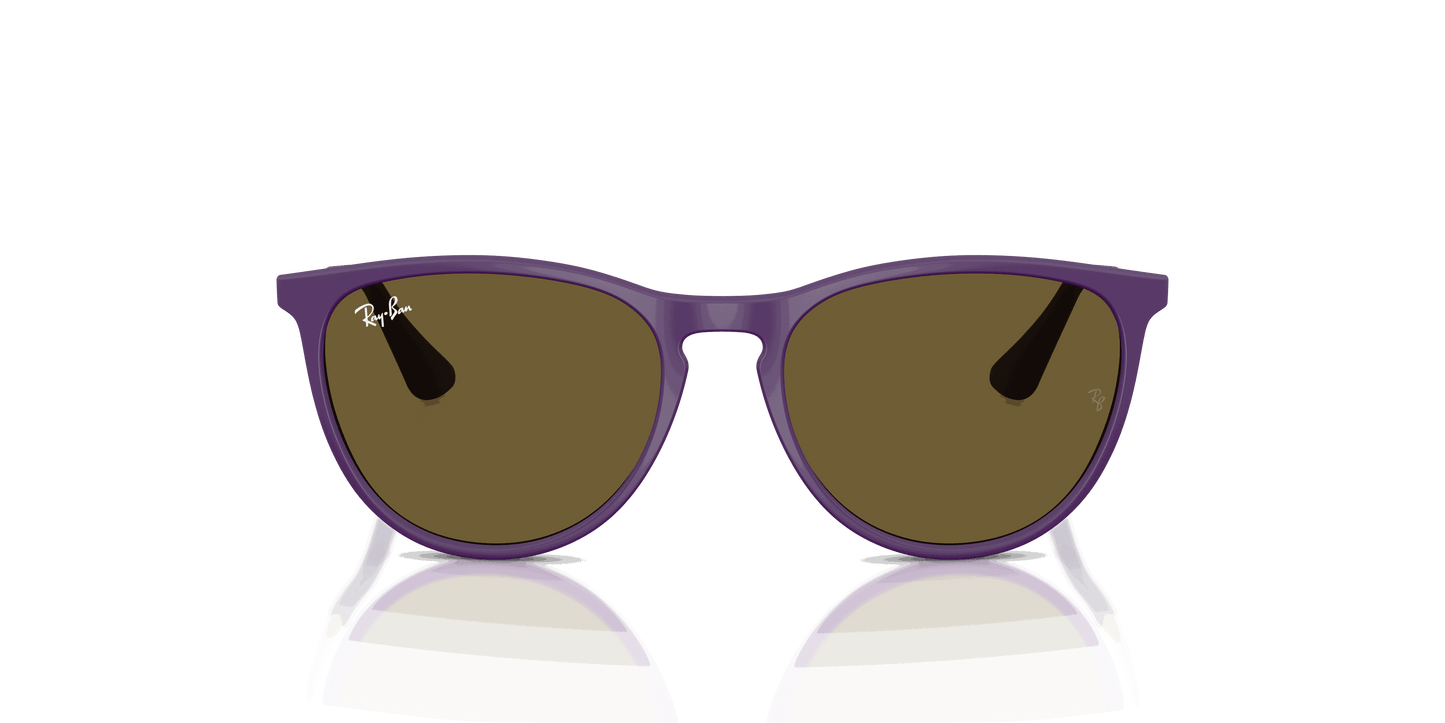 [Dark Brown Lenses, Polished Rubber Violet Frame]