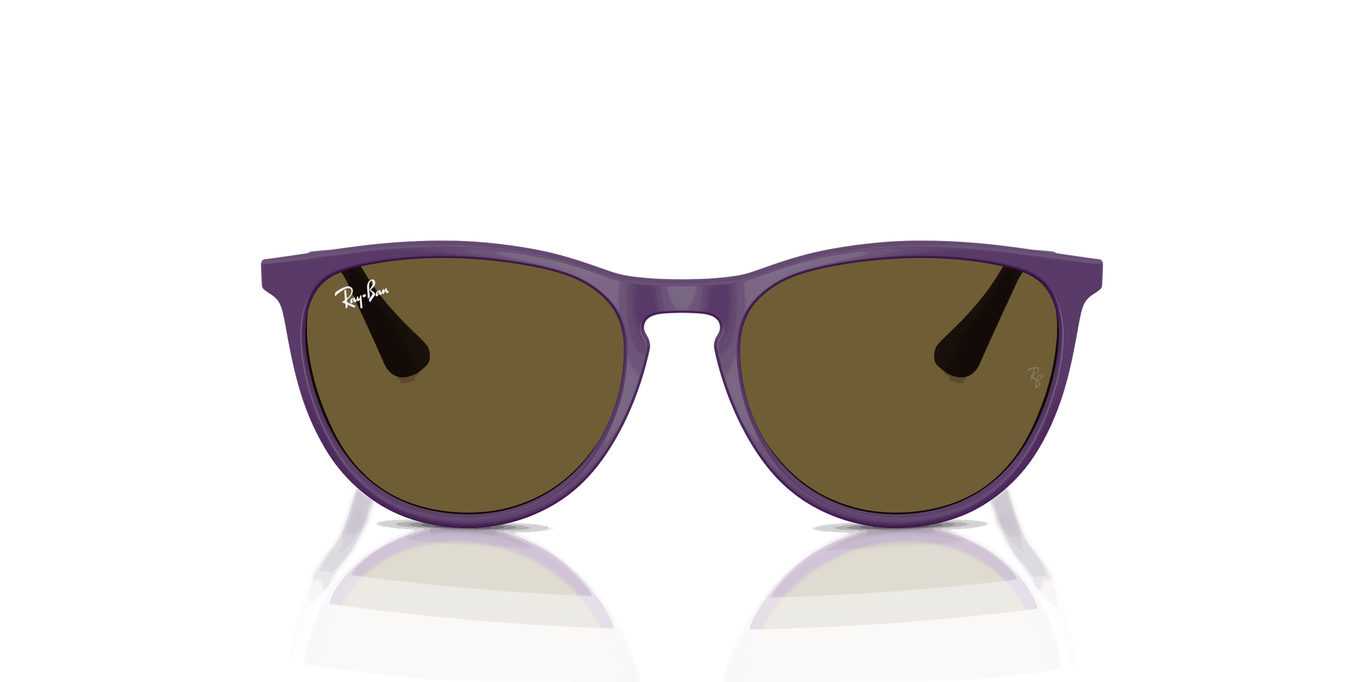 [Dark Brown Lenses, Polished Rubber Violet Frame]