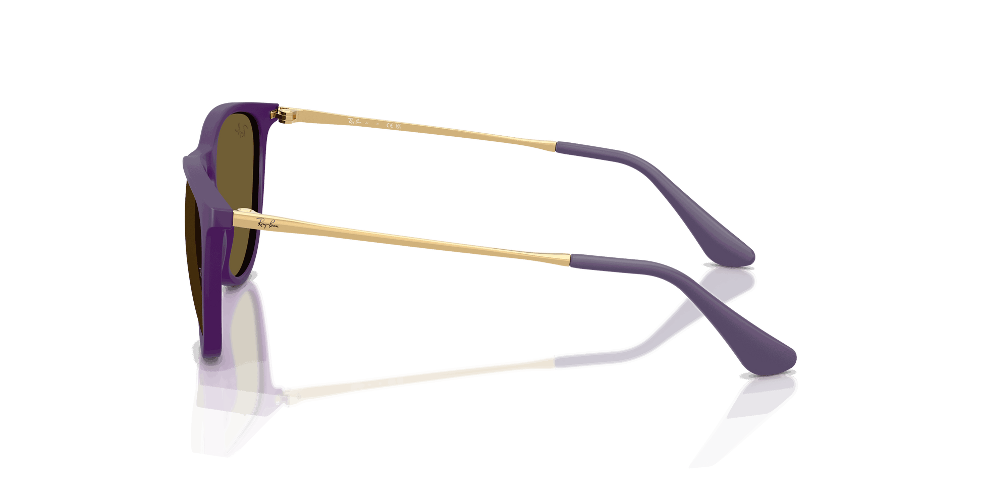 [Dark Brown Lenses, Polished Rubber Violet Frame]