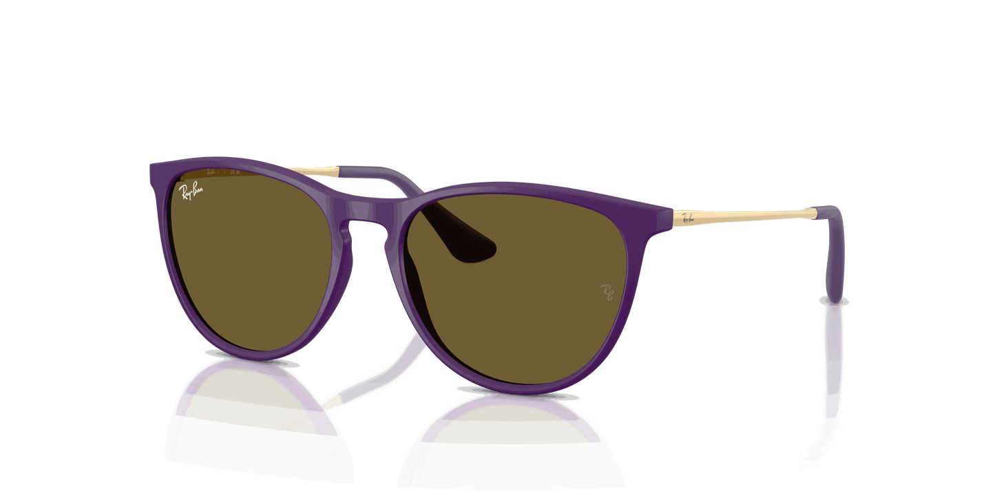 [Dark Brown Lenses, Polished Rubber Violet Frame]