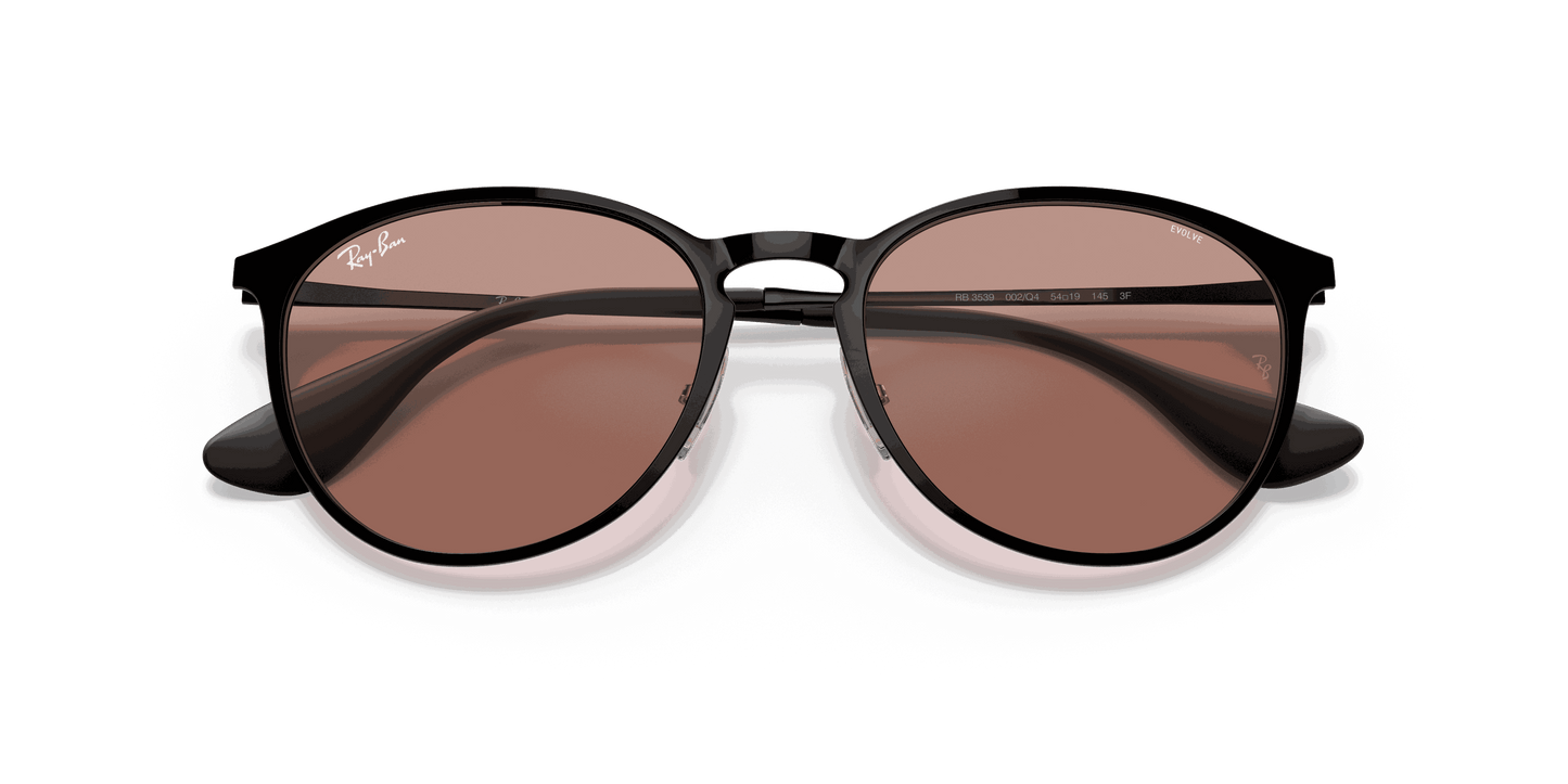 [Evolve Photo Brown To Dark Brown Lenses, Polished Black Frame]