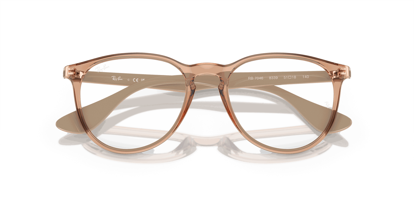 [Clear Lenses, Polished Transparent Brown Frame]