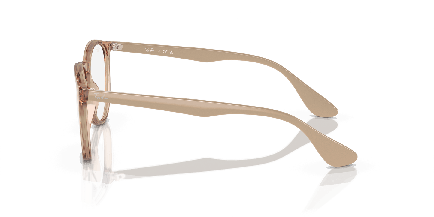 [Clear Lenses, Polished Transparent Brown Frame]
