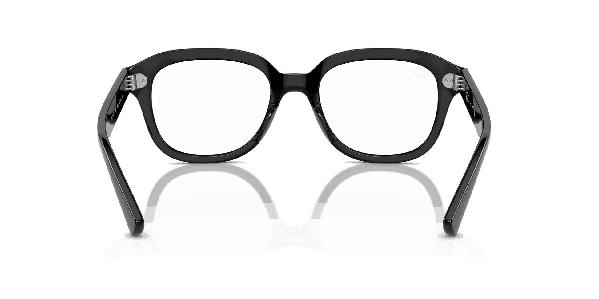 [Clear Lenses, Polished Black Frame]