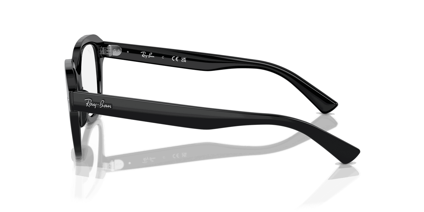 [Clear Lenses, Polished Black Frame]