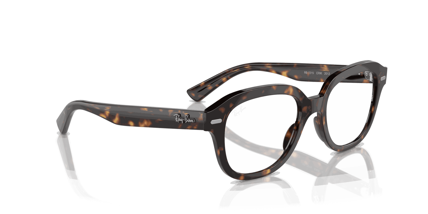 [Clear Lenses, Polished Havana Frame]