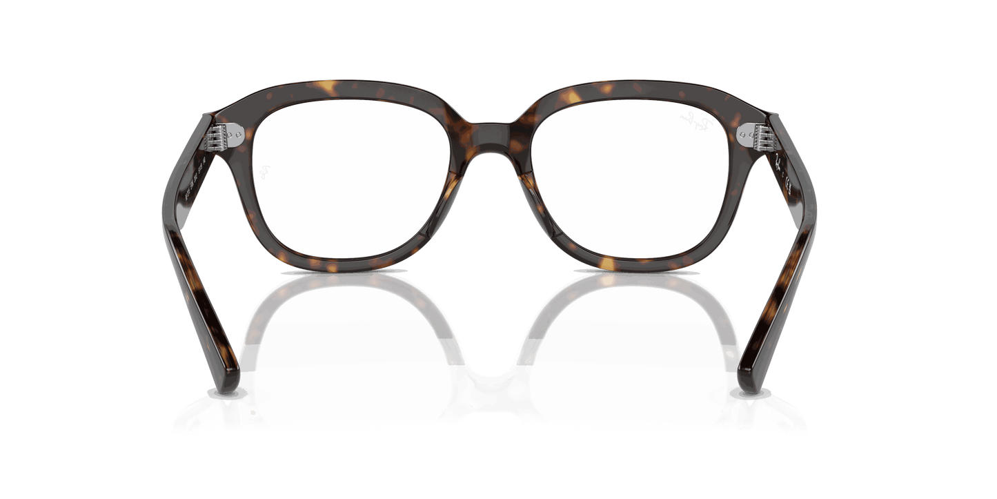 [Clear Lenses, Polished Havana Frame]