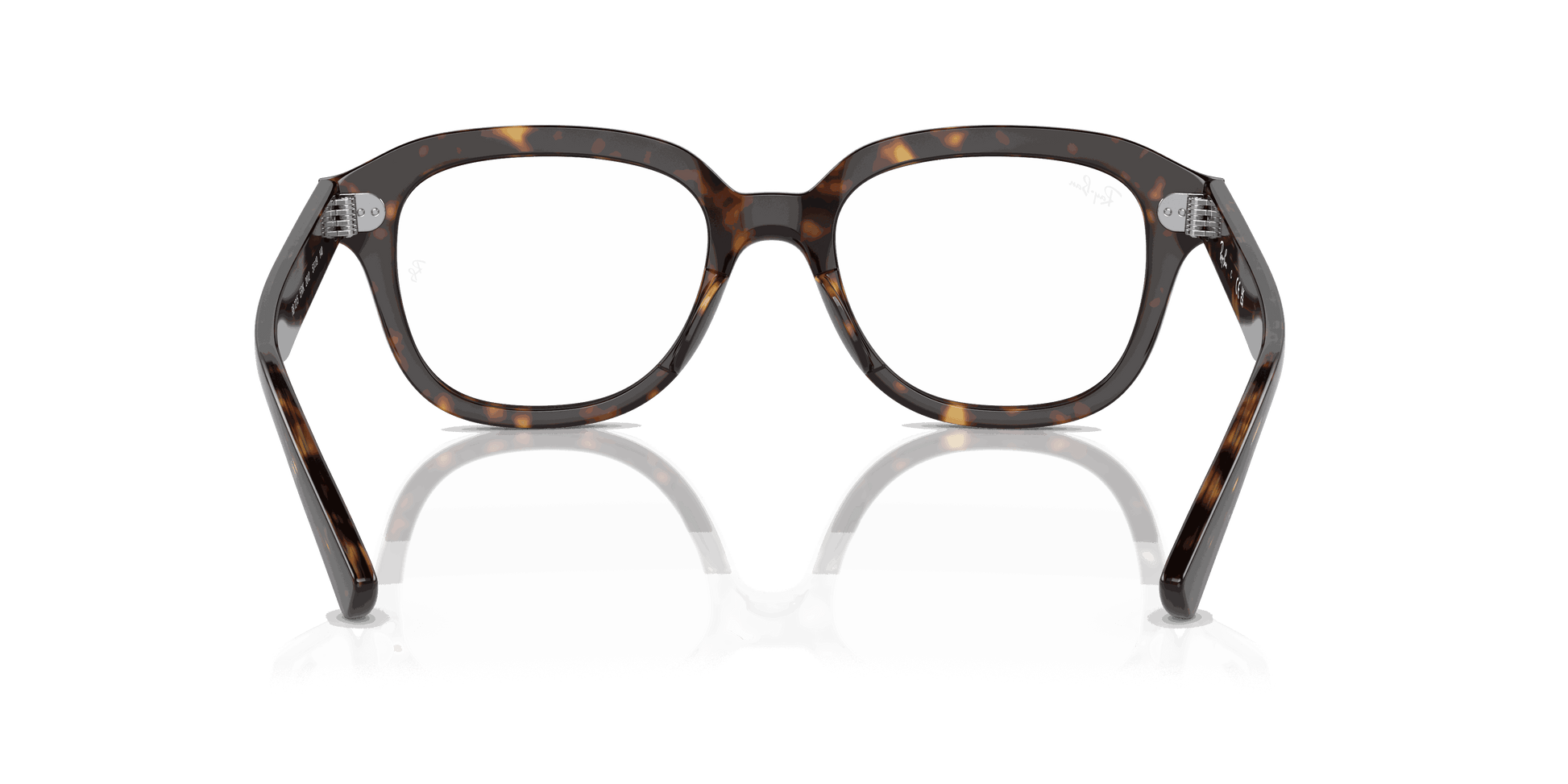 [Clear Lenses, Polished Havana Frame]