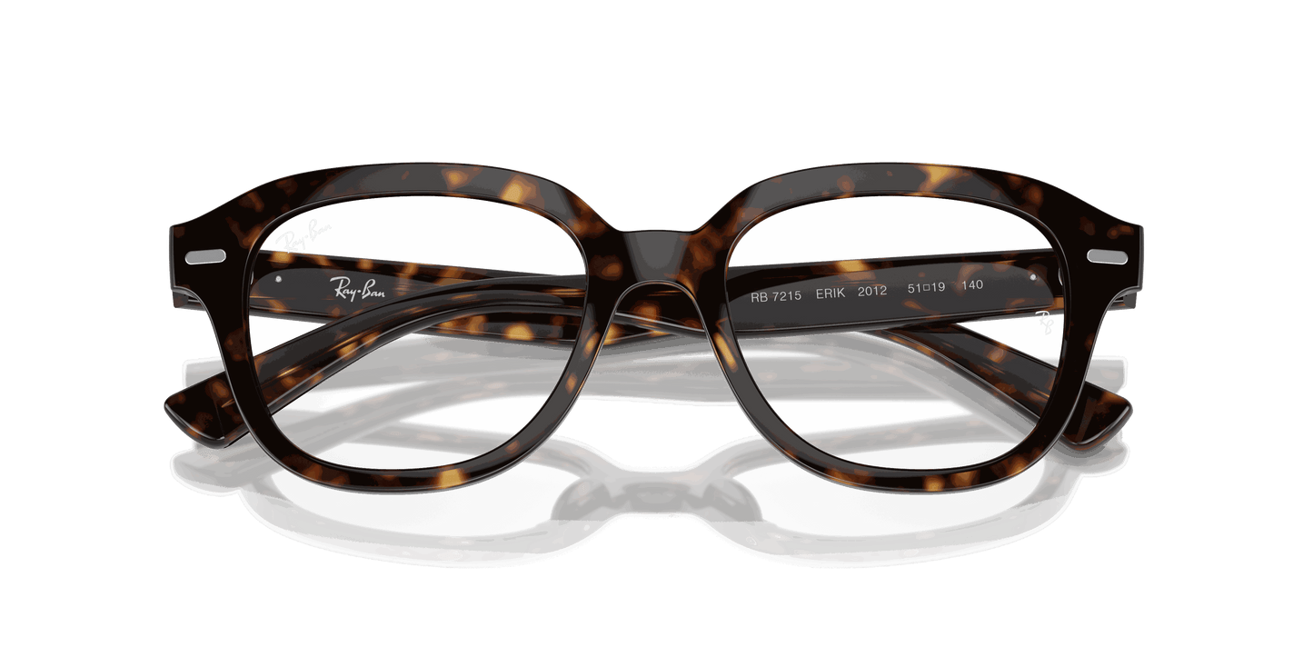 [Clear Lenses, Polished Havana Frame]