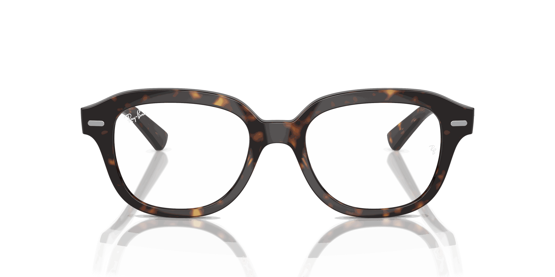 [Clear Lenses, Polished Havana Frame]