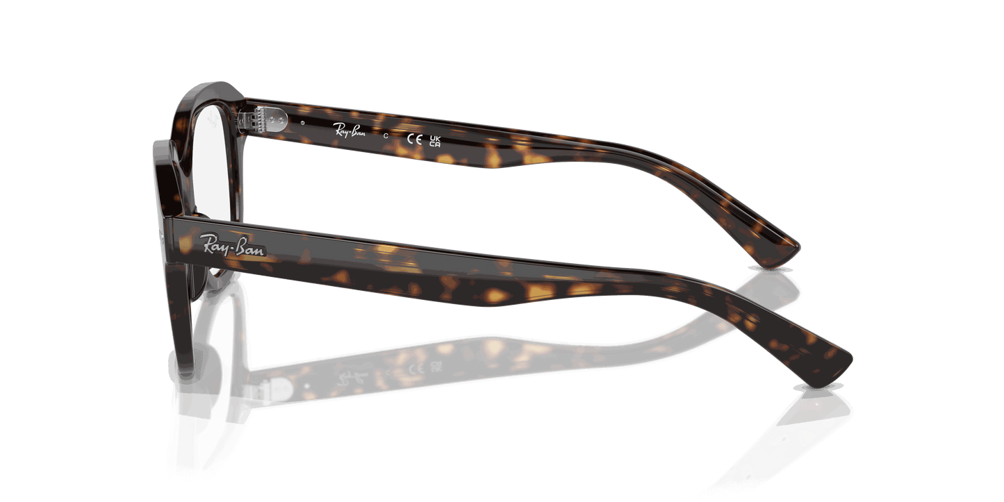 [Clear Lenses, Polished Havana Frame]
