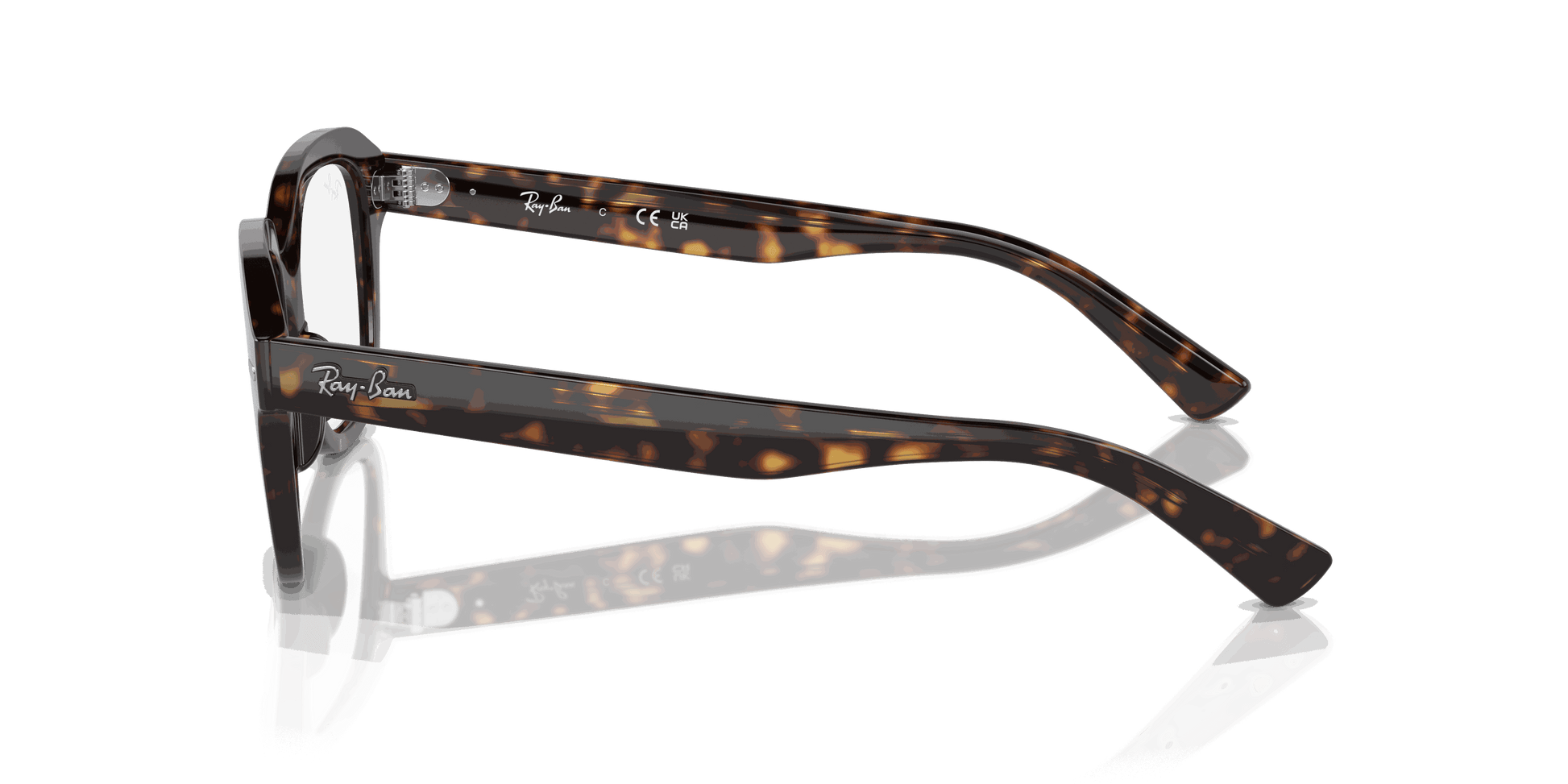 [Clear Lenses, Polished Havana Frame]