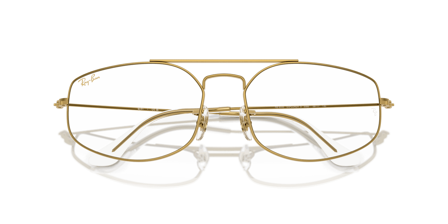 [Clear Lenses, Polished Legend Gold Frame]