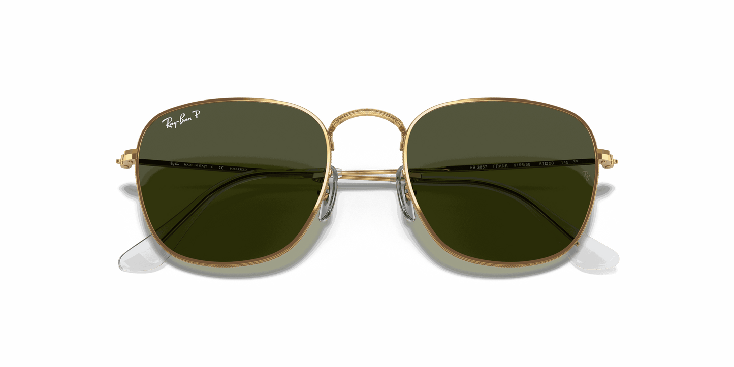 [G-15 Green Lenses, Polished Gold Frame]