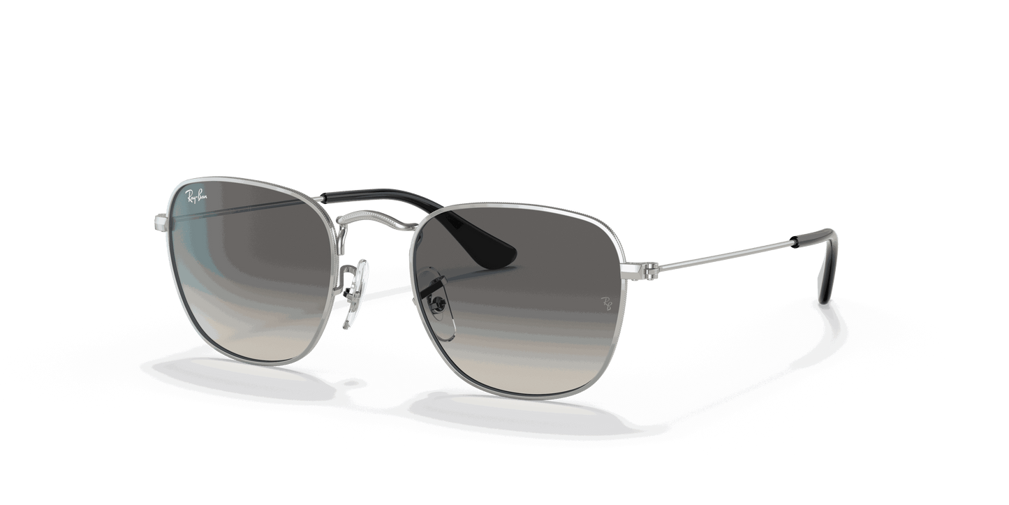 [Grey Gradient Lenses, Polished Silver Frame]