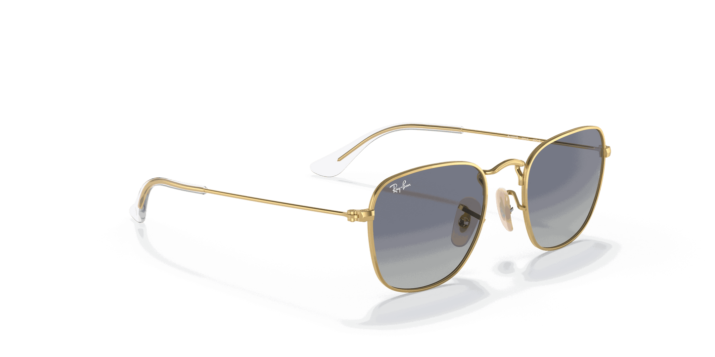 [Light Grey/Dark Blue Lenses, Polished Arista Gold Frame]