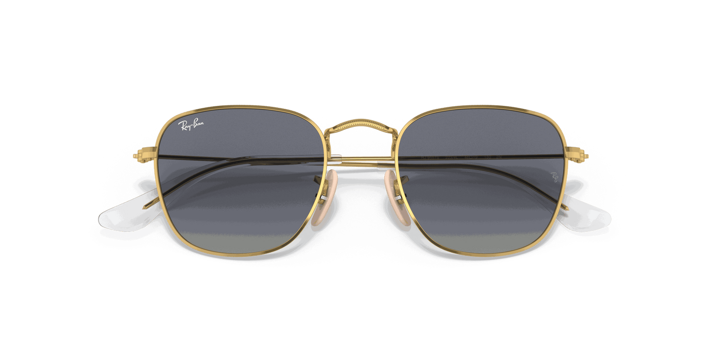 [Light Grey/Dark Blue Lenses, Polished Arista Gold Frame]