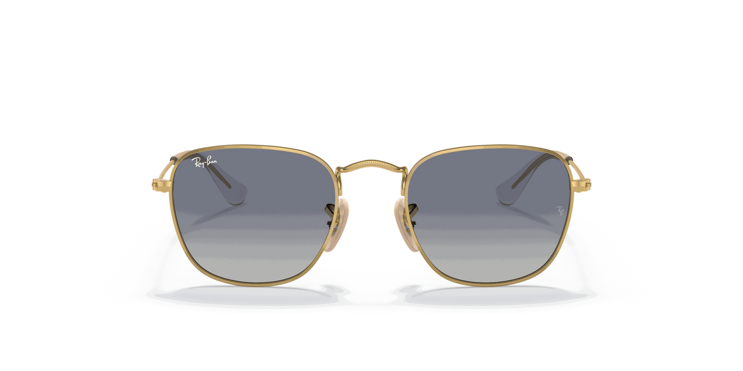 [Light Grey/Dark Blue Lenses, Polished Arista Gold Frame]