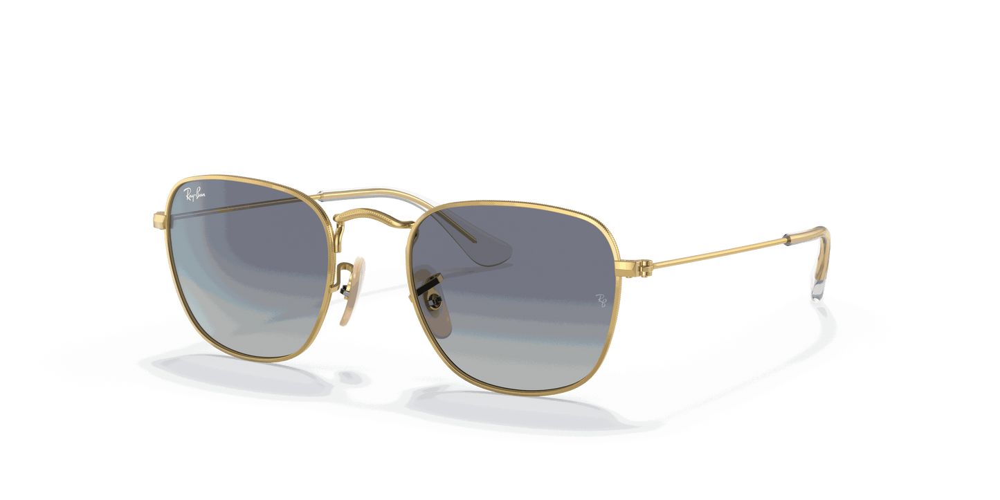 [Light Grey/Dark Blue Lenses, Polished Arista Gold Frame]
