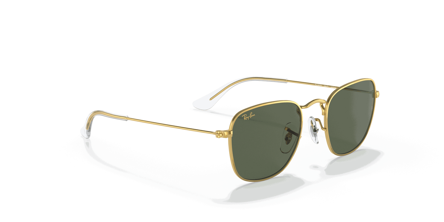 [Dark Green Lenses, Polished Gold Frame]