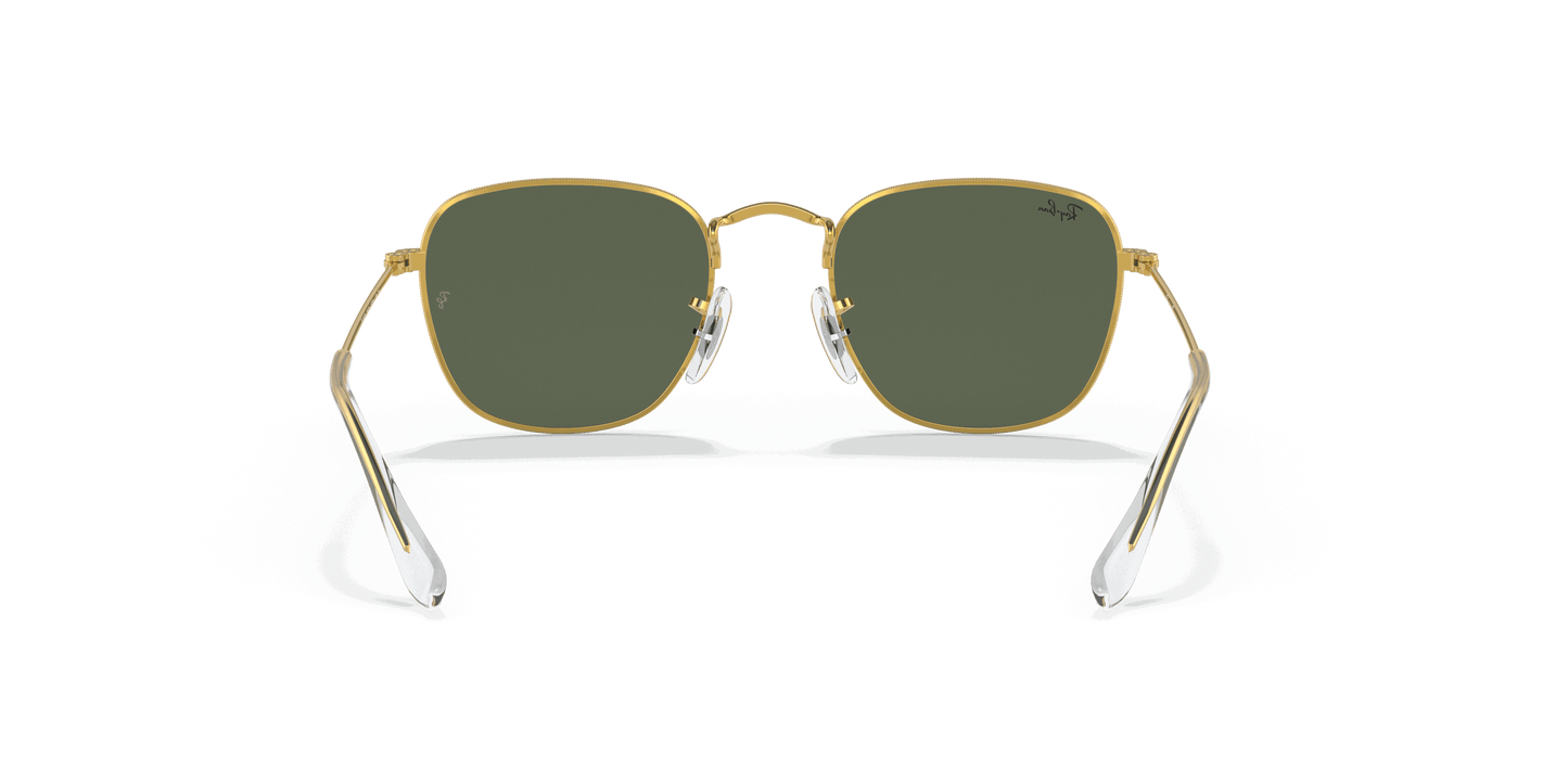 [Dark Green Lenses, Polished Gold Frame]