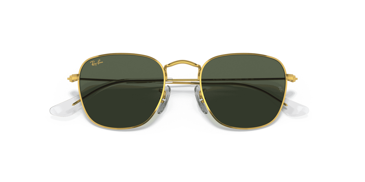 [Dark Green Lenses, Polished Gold Frame]