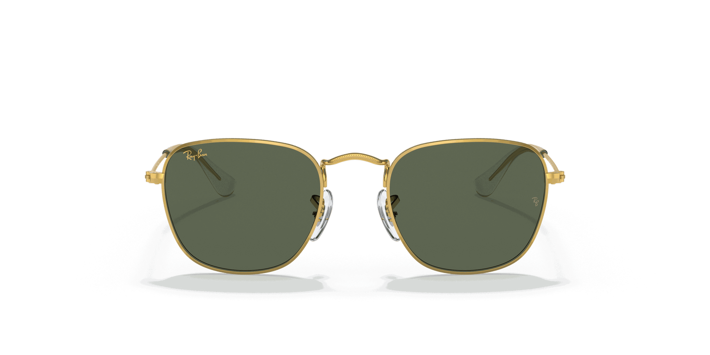 [Dark Green Lenses, Polished Gold Frame]