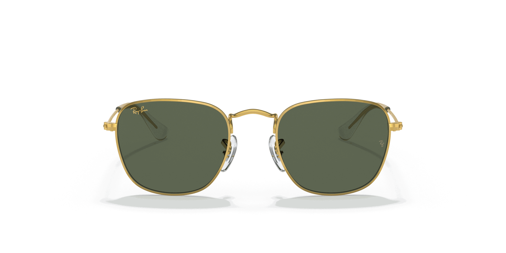 [Dark Green Lenses, Polished Gold Frame]