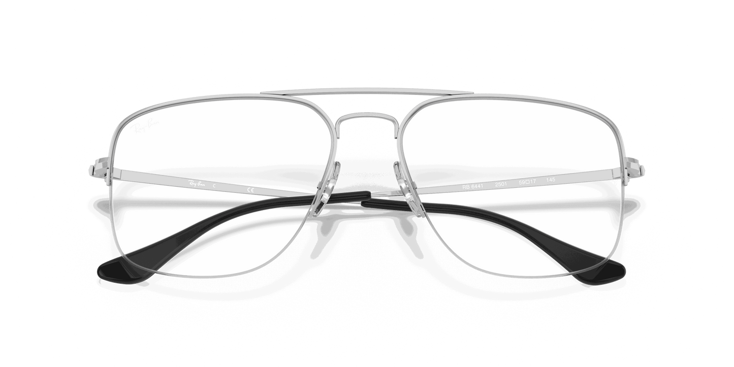 [Clear Lenses, Polished Silver Frame]