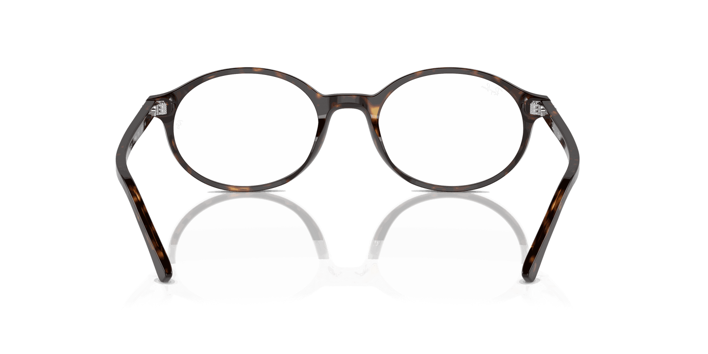 [Clear Lenses, Polished Havana Frame]
