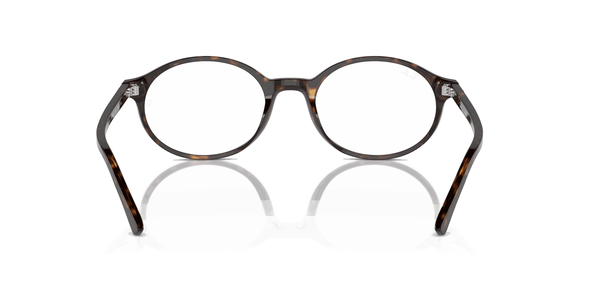 [Clear Lenses, Polished Havana Frame]