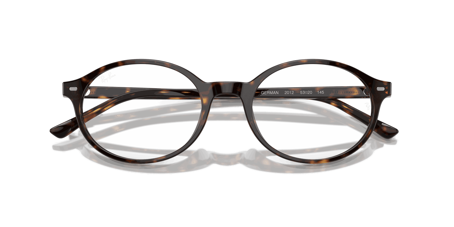 [Clear Lenses, Polished Havana Frame]