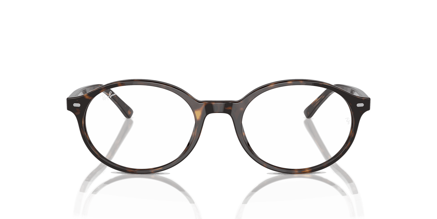 [Clear Lenses, Polished Havana Frame]