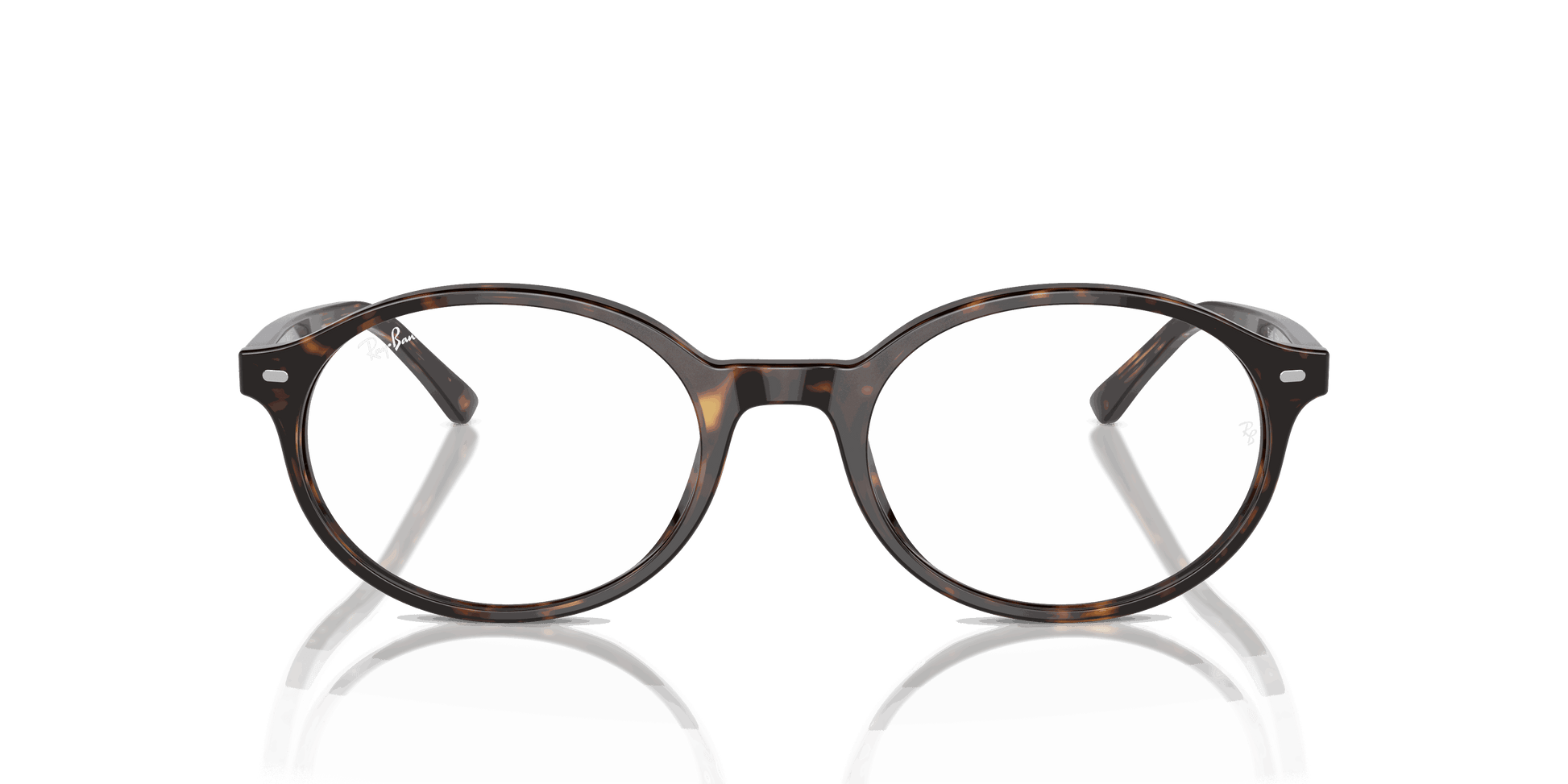 [Clear Lenses, Polished Havana Frame]