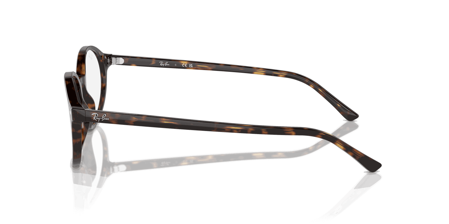 [Clear Lenses, Polished Havana Frame]