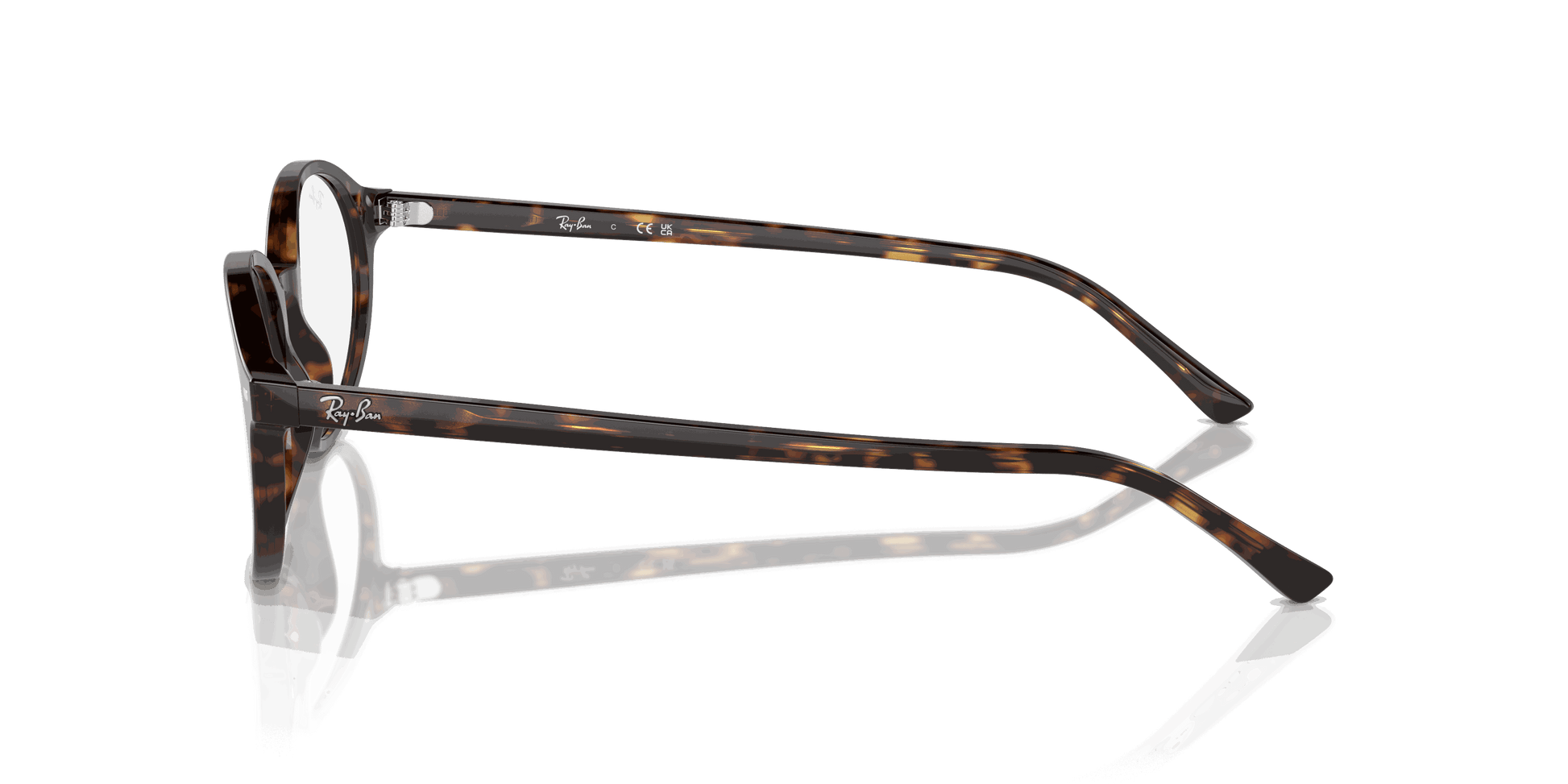[Clear Lenses, Polished Havana Frame]
