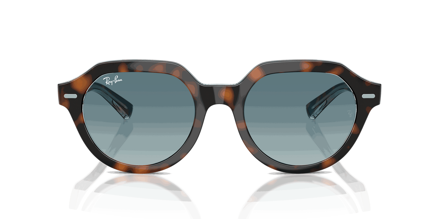 [Blue Gradient Grey Lenses, Polished Dark Havana On Multicolor Frame]
