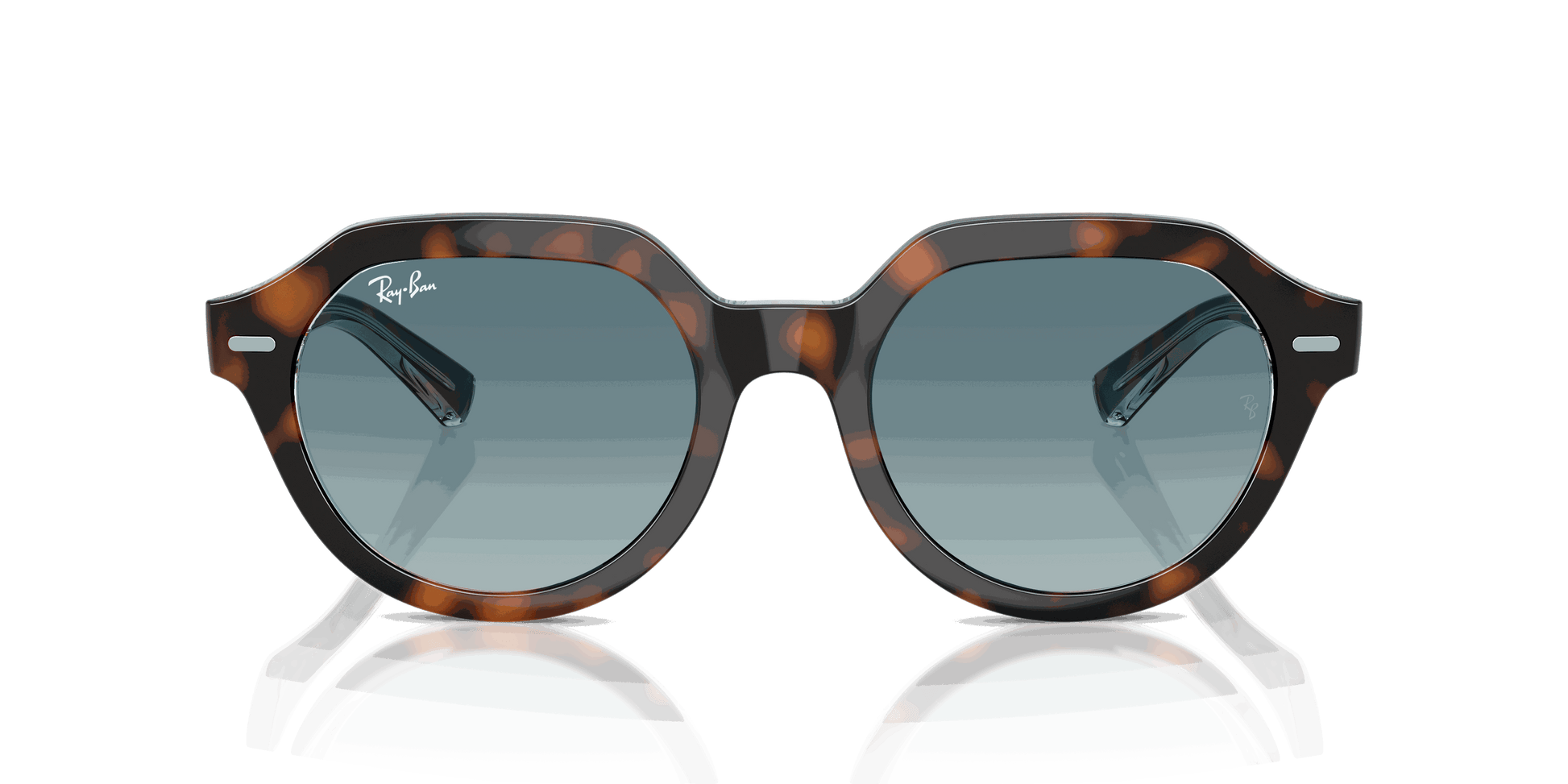 [Blue Gradient Grey Lenses, Polished Dark Havana On Multicolor Frame]