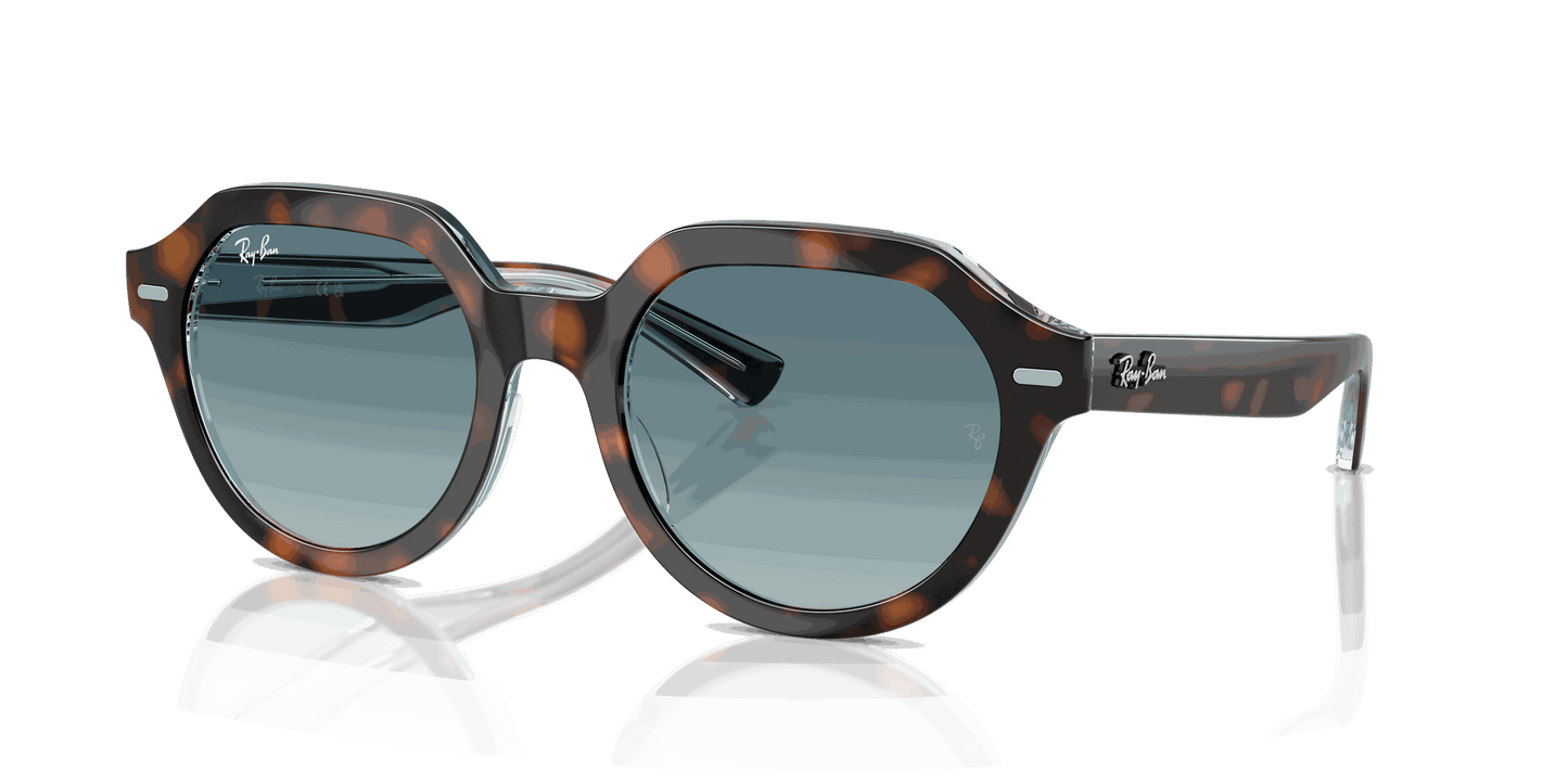 [Blue Gradient Grey Lenses, Polished Dark Havana On Multicolor Frame]