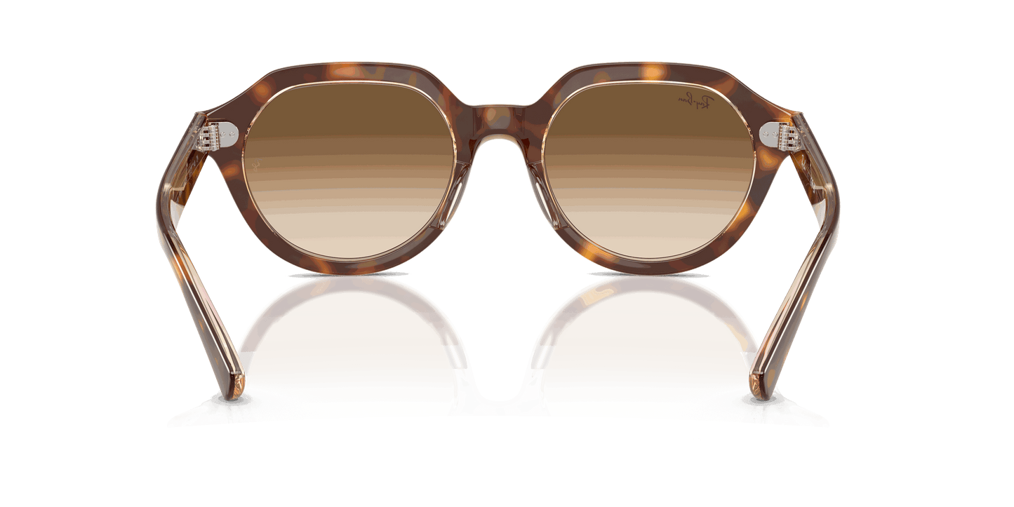 [Clear Gradient Brown Lenses, Polished Light Havana On Multicolor Frame]