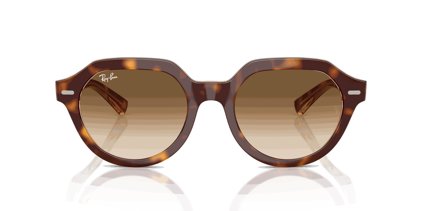 [Clear Gradient Brown Lenses, Polished Light Havana On Multicolor Frame]