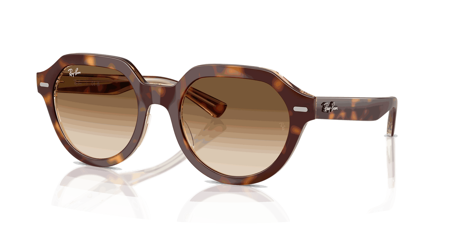 [Clear Gradient Brown Lenses, Polished Light Havana On Multicolor Frame]